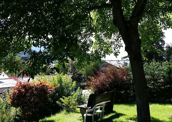 Antonia 弗希安德格洛可尼