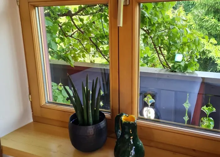 公寓 Antonia 弗希安德格洛可尼