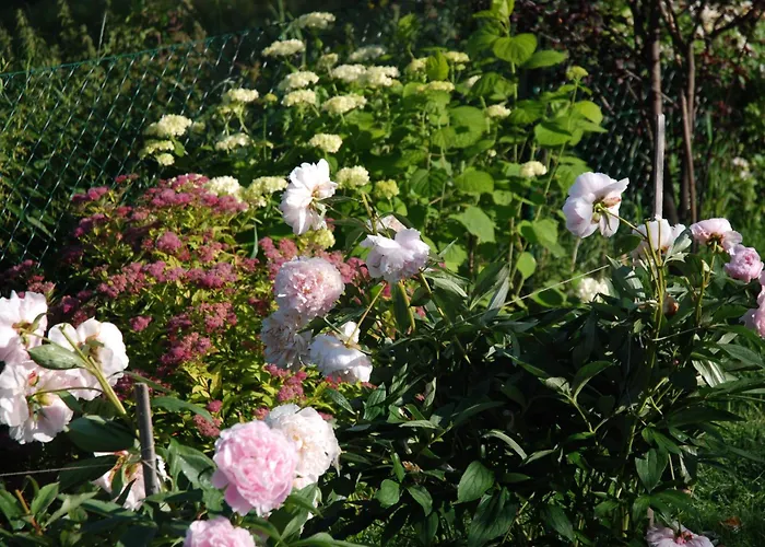 Antonia 公寓 弗希安德格洛可尼