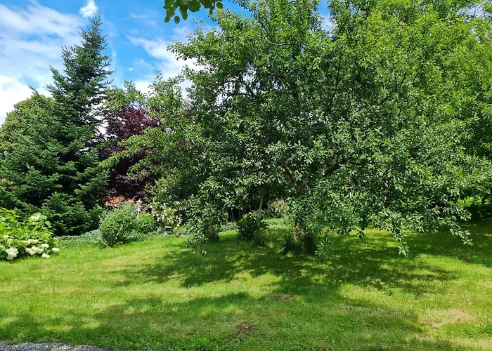 Antonia 公寓 弗希安德格洛可尼