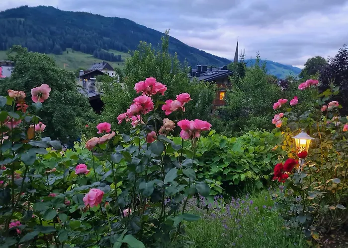 Antonia 弗希安德格洛可尼